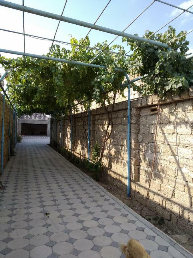Villa Cozy House In Bina, Bolluq Baku Exterior foto